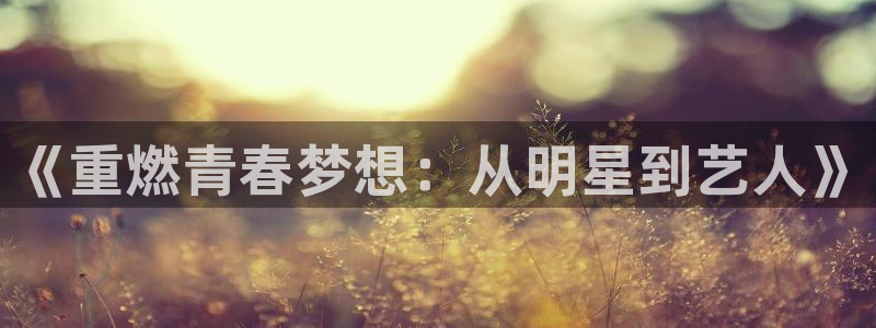 新航娱乐登录地址