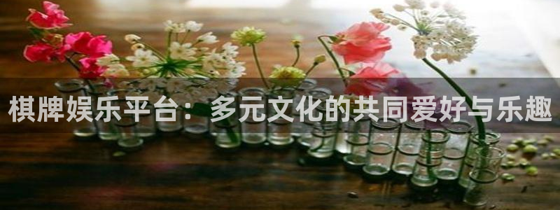 新航娱乐官网
