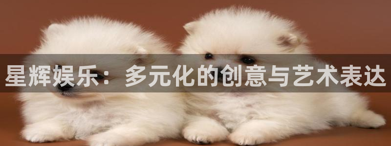 新航娱乐登录地址