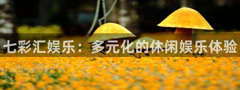 新航娱乐登录地址