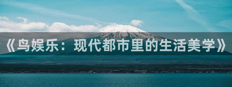 新航娱乐官网