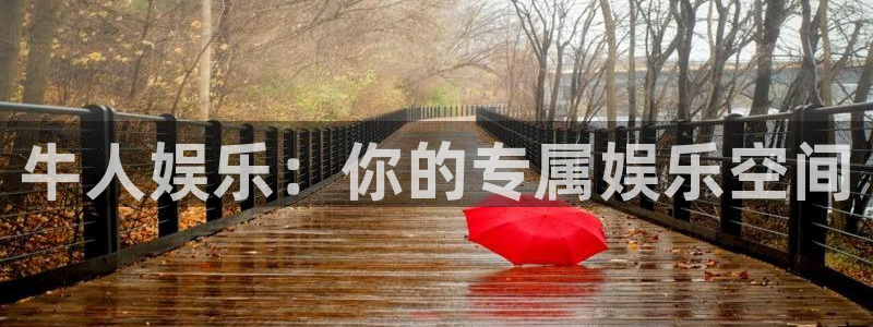 新航娱乐官网