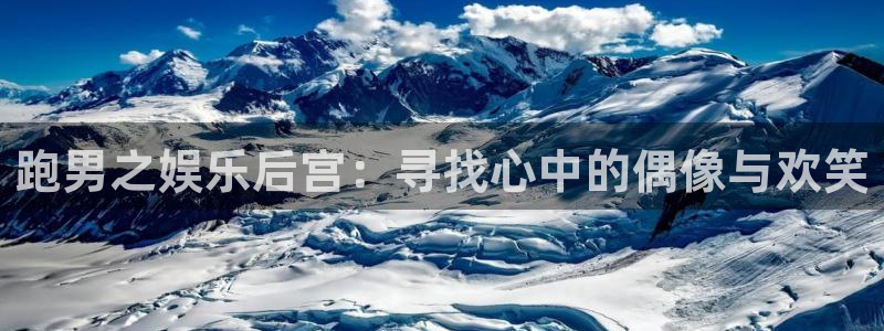 新航娱乐