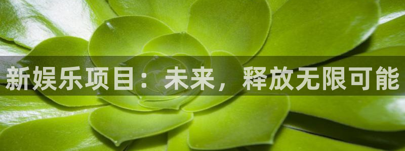 新航娱乐登录地址