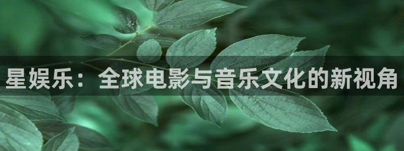 新航娱乐