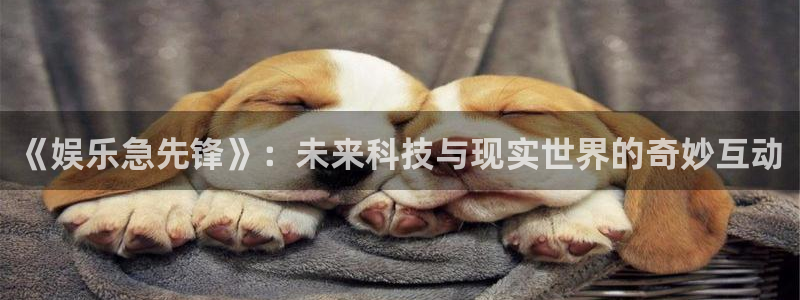 新航娱乐官网